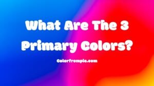 What Are The 3 Primary Colors?