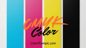 CMYK Color