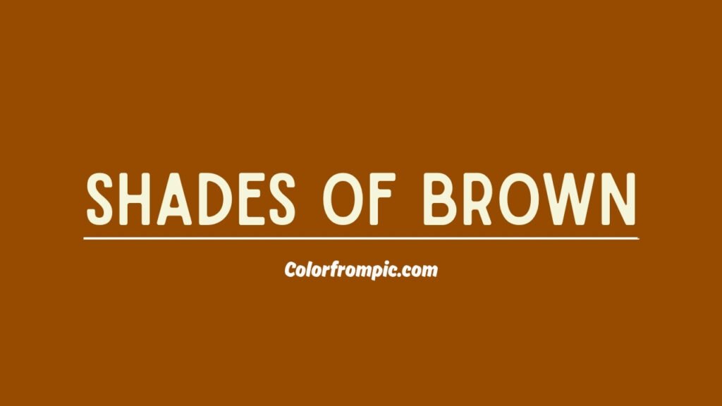Shades of Brown